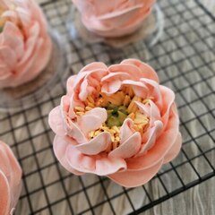 Зефир «Пион коралловый»