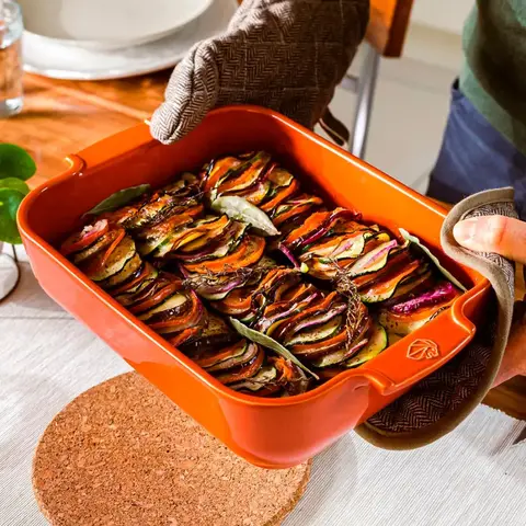 Прямоугольная форма для запекания 40х25.7см 5.2л Peugeot Terracotta