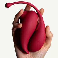 Клиторальный стимулятор и виброяйцо Inspiration от Adrien Lastic