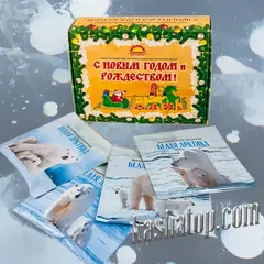 Подарочный набор напитков 'С Новым Годом и Рождеством!' 'Гелиос', Белая Арктика на льду Байкала