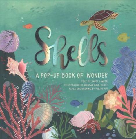 Shells : A Pop-up Book of Wonder