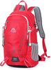 Картинка рюкзак городской Ai One 9838B red - 1