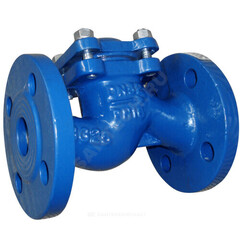 Клапан обратный чугун подъемный Ду 65 Ру16 фл диск чугун Benarmo