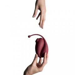 Клиторальный стимулятор и виброяйцо Inspiration от Adrien Lastic