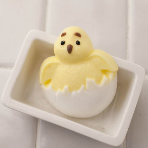 Цыпленок в яйце, пластиковая форма