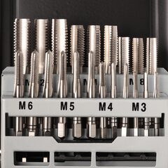 Набор метчиков комплектных M3 -M12 HSS-G DIN352 21пр Terrax by Ruko A245006