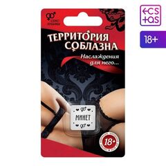 Неоновый кубик «Территория соблазна. Наслаждение для него» - 
