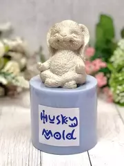 Силиконовая форма 