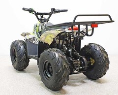 Купить Квадроцикл GreenCamel Гоби K51 (36V 800W R7 Цепь) быстросъем, ножной тормоз