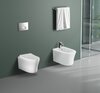 Aquatek SET Aquatek НИКА-016 4в1 SET Aquatek НИКА-016 4в1 (рама Aquatek Standard INS-0000012+крепеж KKI-0000002+клавиша KDI-0000016+унитаз НИКА AQ2009-00 с тонким сиденьем soft-close)