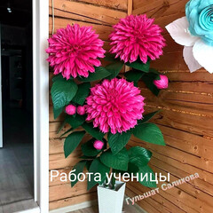 МАСТЕР-КЛАСС 