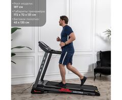 Беговая дорожка DFC ASCONA T595