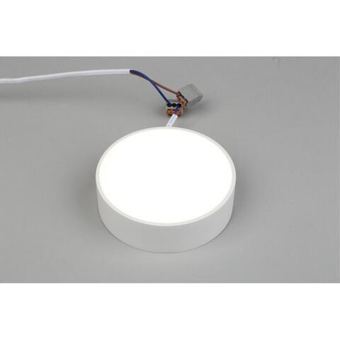 Потолочный светодиодный светильник Aployt Evon APL.0114.09.12