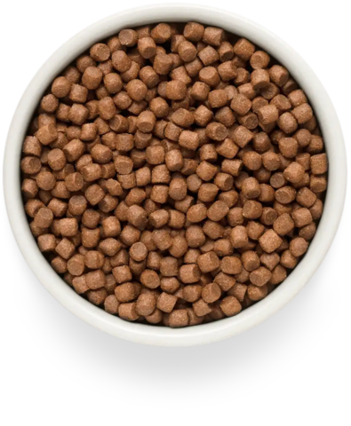 PREMIER Свежее филе лосося с индейкой для взрослых собак мелких пород