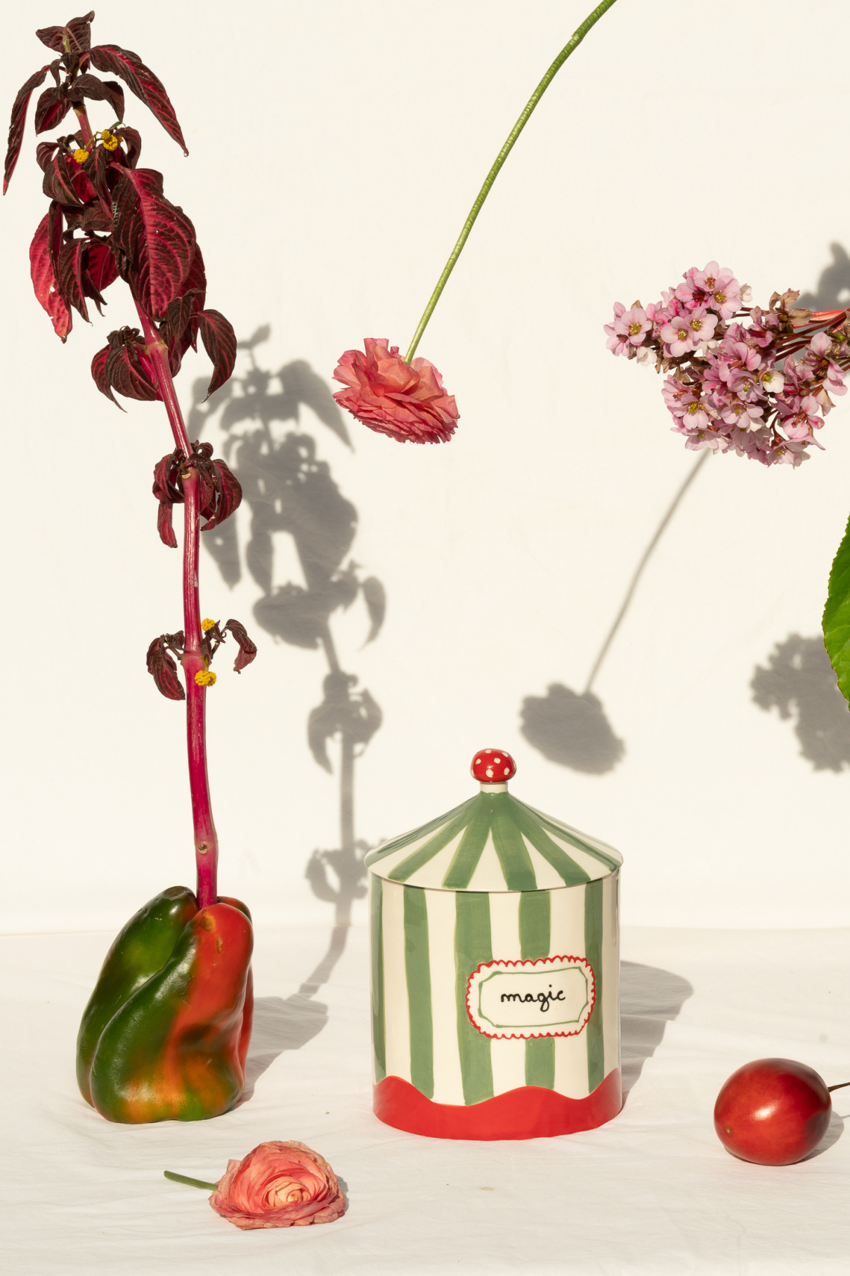 Керамическая шкатулка Magic Box