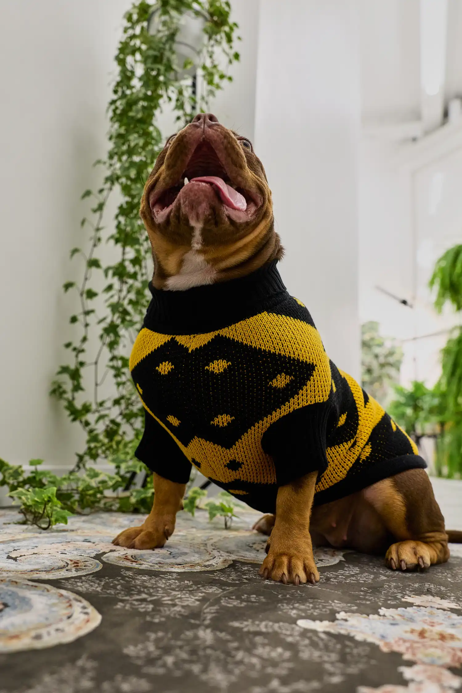 Кофточка для собачки «Тигра пчела»