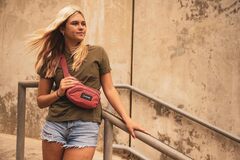Сумка поясная Dakine Hip Pack Carbon W20 - 2