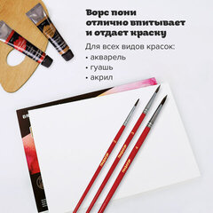 Кисти ПИФАГОР, набор 3шт, пони круглые №2,3,4, пакет с европодвесом