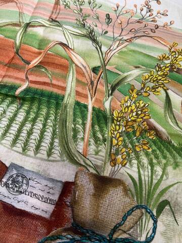 Кухонное полотенце 52х72см Servalli Riso рис