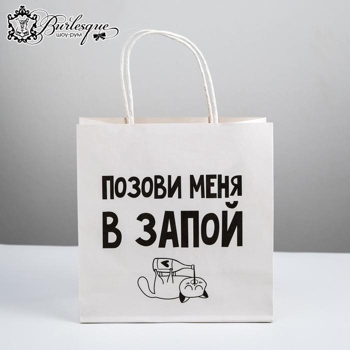 Пакет подарочный «Позови меня в запой»