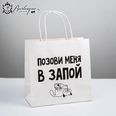 Пакет подарочный «Позови меня в запой»