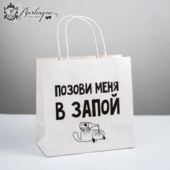Пакет подарочный «Позови меня в запой»