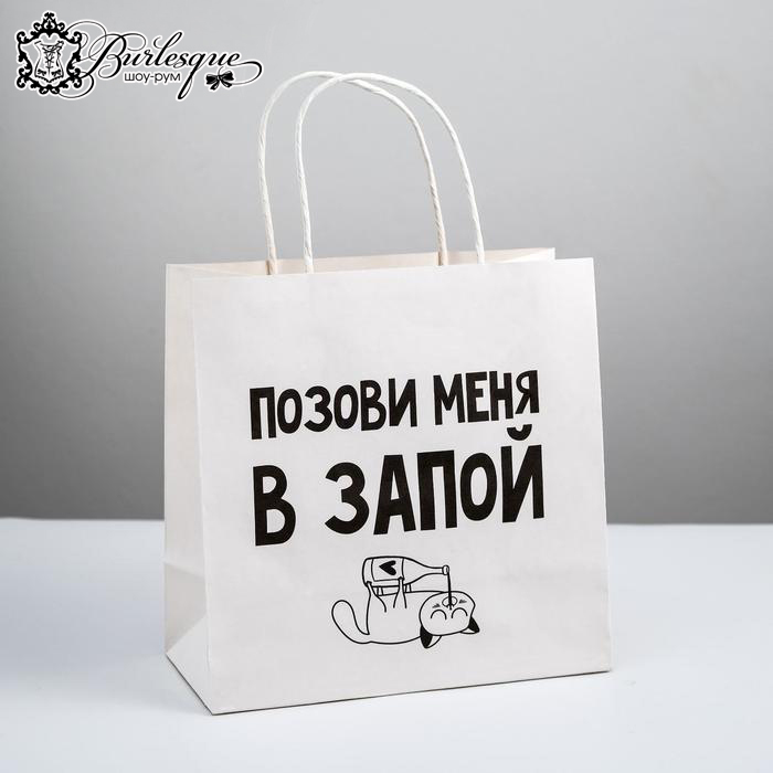 Пакет подарочный «Позови меня в запой»