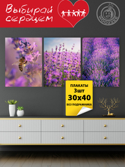 Набор постеров "Красота Лаванды" 3шт.