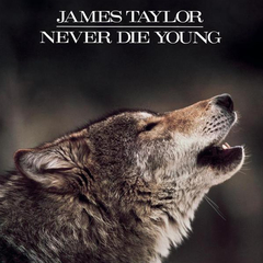 James Taylor / Never Die Young (LP)