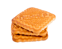 pioner-1