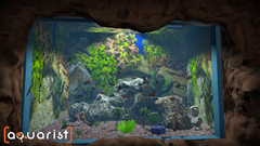Aquarist (для ПК, цифровой код доступа)