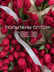 ОПТ тюльпан - классика КРАСНЫЙ