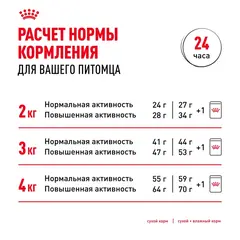 Royal Canin Chihuahua Adult сухой корм для собак породы Чихуахуа 3 кг