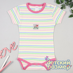 Боди