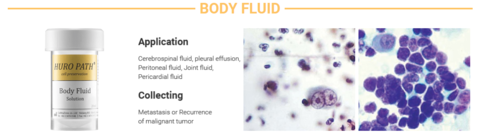 Слайд-процессор для проводки цитологического материала HURO PATH T