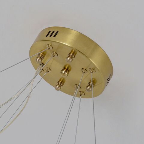 Подвесная светодиодная люстра Favourite PLACERAT 4012-12P