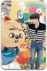 Карта / STRAY KIDS #1041