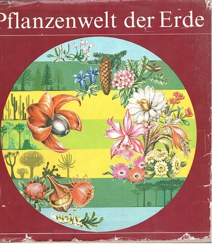 Pflanzenwelt der Erde