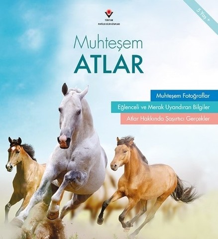 Muhteşem Atlar