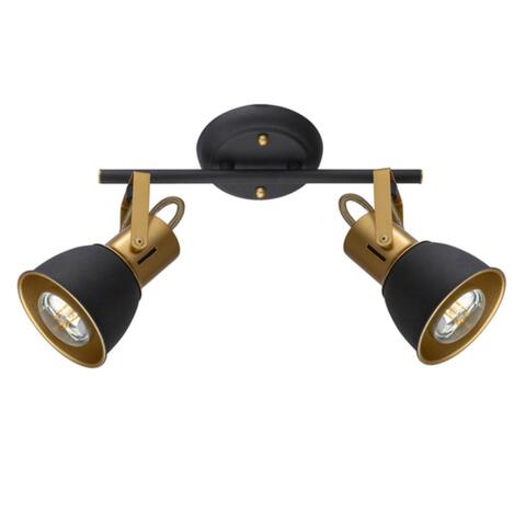 Потолочный светильник Arte Lamp JOVI A1677PL-2GO