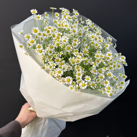 Букет ромашек