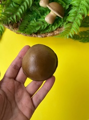 Грибы крупные, реалистичные, 7*6,5 см., набор 3 штуки.