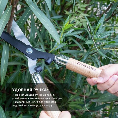 Ножницы для живой изгороди садовые Berry&Bird
