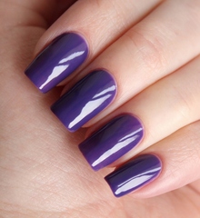 El Corazon 423/ 326 active Bio-gel  Cream чернильный