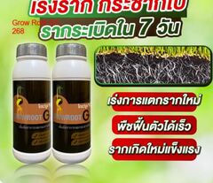 Укоренитель Growroot G1 Тайланд