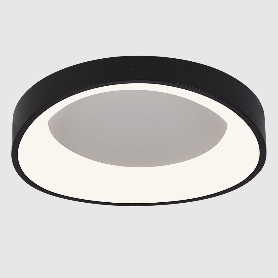 Потолочный светодиодный светильник Arte Lamp Sualocin A2698PL-48BK