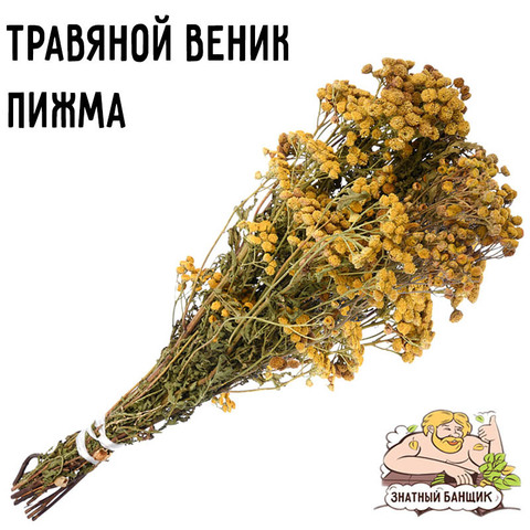 Травяной веник из пижмы