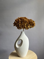 Гортензия стабилизированная оранжевая