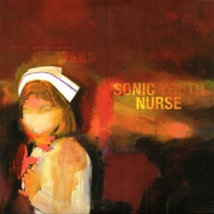 Sonic Youth / Sonic Nurse (2LP)