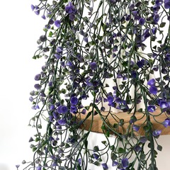 №4 Гипсофила свисающая фиолетовая, ампельное растение, 74 см.